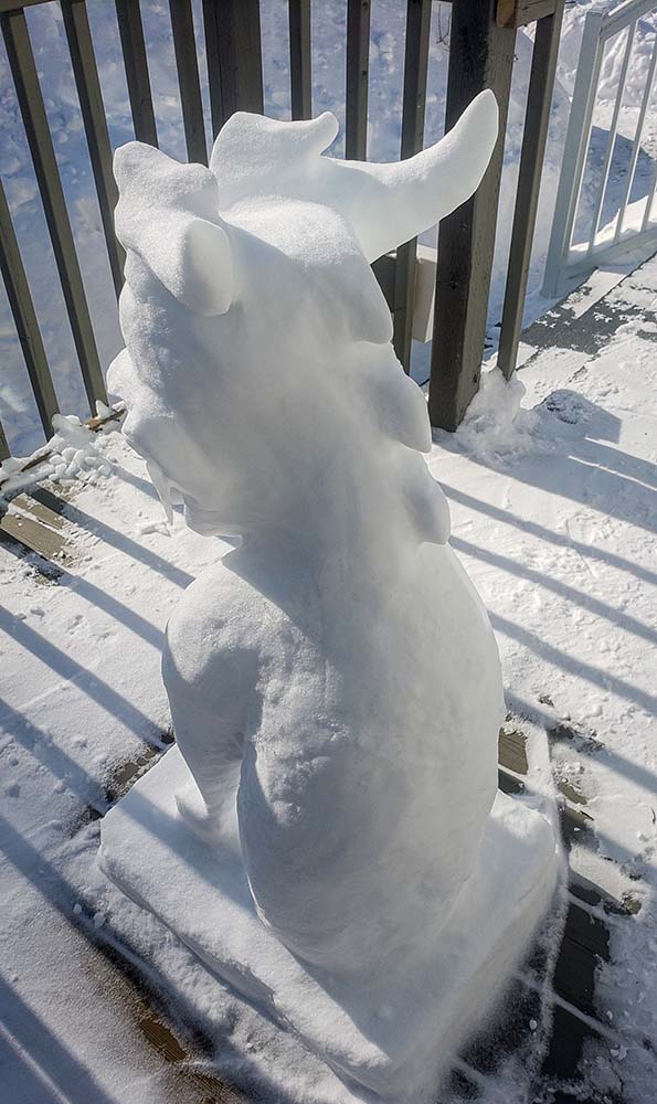 Winnipeg Winter