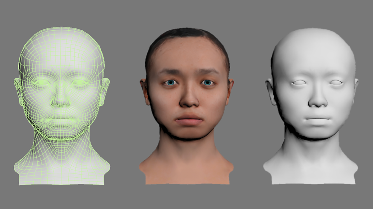 The head